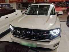 Haval Big Dog PLUS New Energy Hi4 150km Trendy EV Edition - ფოტო 2