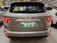Haval Big Dog PLUS New Energy Hi4 150km Trendy EV Edition - ფოტო 3