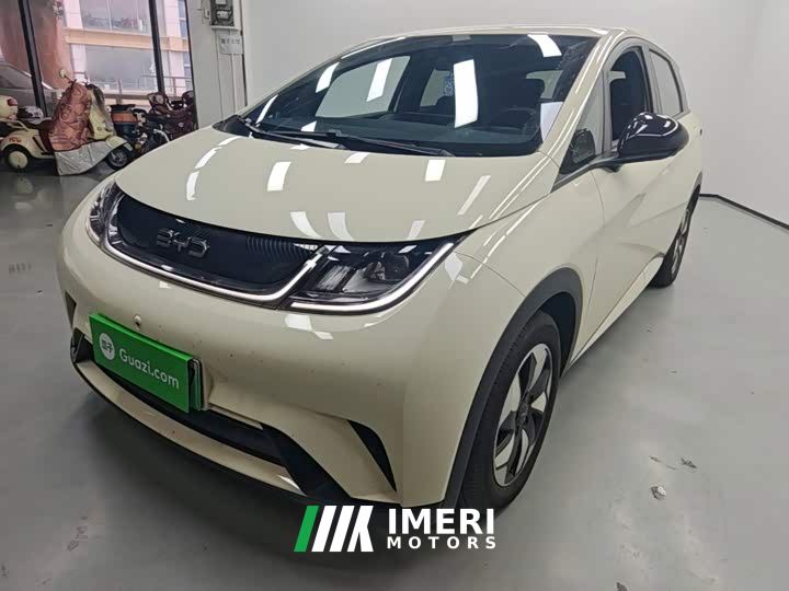 BYD Dolphin 420km Freedom Edition