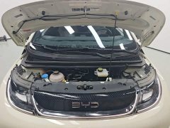 BYD Dolphin 420km Freedom Edition - ფოტო 19