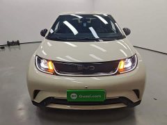 BYD Dolphin 420km Freedom Edition - ფოტო 2