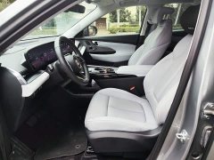 Buick E5 Premium Standard Range Edition - ფოტო 14