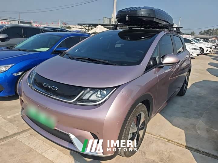 BYD Dolphin 420km Fashion Edition - ავტომობილი ჩინეთიდან