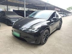 Tesla Model Y Rear-Wheel Drive - ფოტო 1