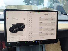 Tesla Model Y Rear-Wheel Drive - ფოტო 12