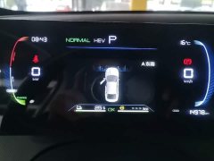 BYD Destroyer 05 Glory Edition DM-i 55KM Luxury - ფოტო 11
