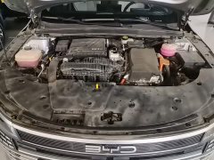 BYD Destroyer 05 Glory Edition DM-i 55KM Luxury - ფოტო 19