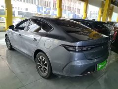 BYD Destroyer 05 Glory Edition DM-i 55KM Luxury - ფოტო 4