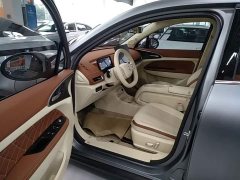 ORA Good Cat 430km Deluxe Edition - ფოტო 14
