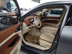 ORA Good Cat 430km Deluxe Edition - ფოტო 15