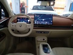ORA Good Cat 430km Deluxe Edition - ფოტო 9