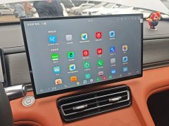 Jetour Jietu Shanhai L7 PLUS 220km Elite 7-Seater - ფოტო 12