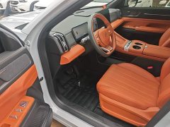Jetour Jietu Shanhai L7 PLUS 220km Elite 7-Seater - ფოტო 15