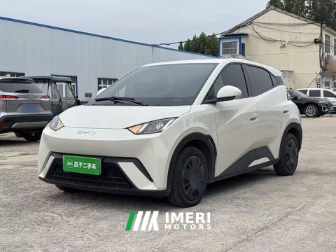 2025 BYD Seagull 305km Vitality Edition - ავტომობილი ჩინეთიდან