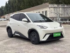 BYD Seagull 305km Vitality Edition - ფოტო 3