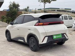 BYD Seagull 305km Vitality Edition - ფოტო 4