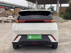 BYD Seagull 305km Vitality Edition - ფოტო 5