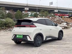 BYD Seagull 305km Vitality Edition - ფოტო 6