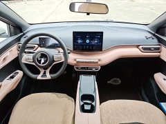 BYD Seagull 305km Vitality Edition - ფოტო 9
