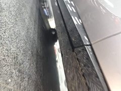 Xiaomi YU7 Four-Wheel Drive Max Edition - ფოტო 20