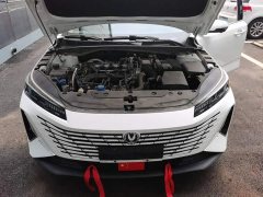 Changan Eado Blue Whale 1.5T 500Bar Luxury - ფოტო 19