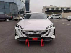 Changan Eado Blue Whale 1.5T 500Bar Luxury - ფოტო 2