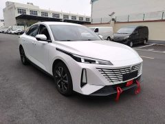 Changan Eado Blue Whale 1.5T 500Bar Luxury - ფოტო 3
