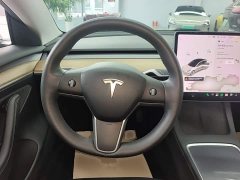 Tesla Model 3 Standard Range RWD Upgrade - ფოტო 10