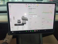 Tesla Model 3 Standard Range RWD Upgrade - ფოტო 11