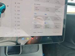 Tesla Model 3 Performance All-Wheel Drive - ფოტო 11