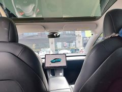 Tesla Model 3 Performance All-Wheel Drive - ფოტო 17