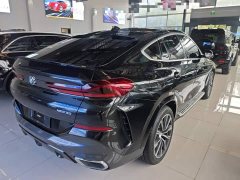 BMW X6 xDrive30i M Sport Package - фото 6