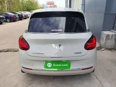 Wuling Binguo 203km Comfort Edition - ფოტო 5