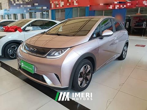 2025 BYD Dolphin 420km Freedom Edition - ავტომობილი ჩინეთიდან