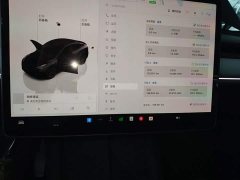Tesla Model Y Rear-Wheel Drive - ფოტო 11
