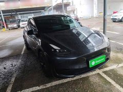Tesla Model Y Rear-Wheel Drive - ფოტო 3