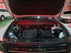 Haval Manlong New Energy Hi4 200 Ultra Pilot Edition Ternary Lithium - ფოტო 19