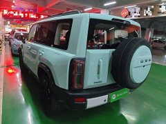 Haval Manlong New Energy Hi4 200 Ultra Pilot Edition Ternary Lithium - ფოტო 4