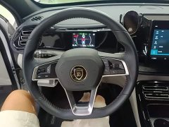 BYD Qin Plus DM-i 55KM Luxury - ფოტო 10