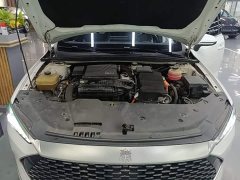 BYD Qin Plus DM-i 55KM Luxury - ფოტო 19