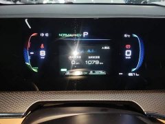 BYD Song Pro New Energy 2nd Gen DM-i 75KM Leading Edition - ფოტო 11