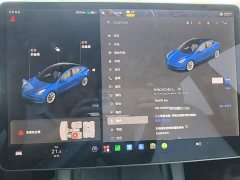 Tesla Model 3 Standard Range RWD Upgrade - ფოტო 11