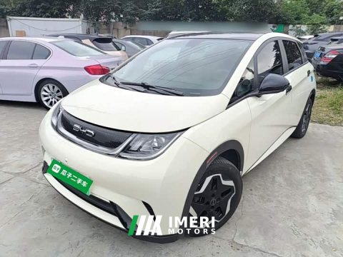 2023 BYD Dolphin 405km Fashion Edition - ავტომობილი ჩინეთიდან