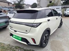 BYD Dolphin 405km Fashion Edition - ფოტო 6