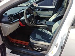 BYD Qin Plus EV 500KM Luxury - ფოტო 14