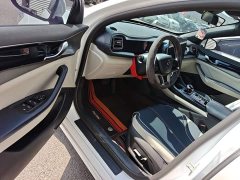 BYD Qin Plus EV 500KM Luxury - ფოტო 15