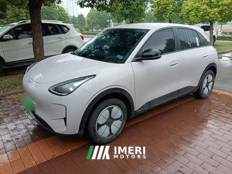2026 Geely Star Wish 310km Youth Edition - ავტომობილი ჩინეთიდან
