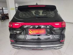 Haval M6 PLUS 1.5T DCT Elite Smart Connected Edition - ფოტო 5