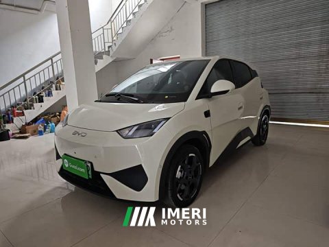 2025 BYD Seagull Smart Driving Edition 305km Freedom Edition - ავტომობილი ჩინეთიდან