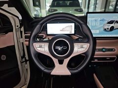BYD Seagull Smart Driving Edition 305km Freedom Edition - ფოტო 10
